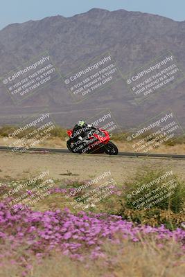 media/Feb-04-2023-SoCal Trackdays (Sat) [[8a776bf2c3]]/Turn 15 Inside Blooming (1050am)/